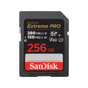 SanDisk 256GB Extreme PRO SDXC UHS-I Memory Card - C10, U3, V30, 4K UHD, SD Card - SDSDXXD-256G-GN4IN, Dark gray/Black